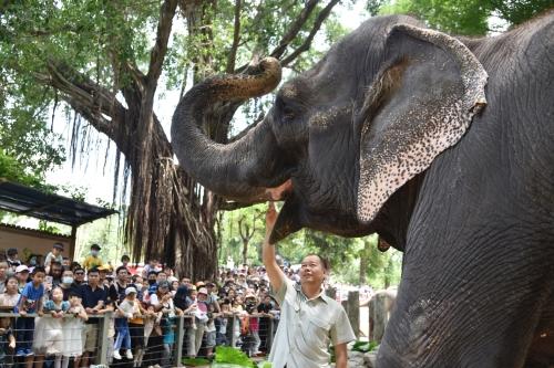 五一假期首日，深圳野生動(dòng)物園動(dòng)物科普講解吸引游客